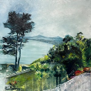 Vico Views